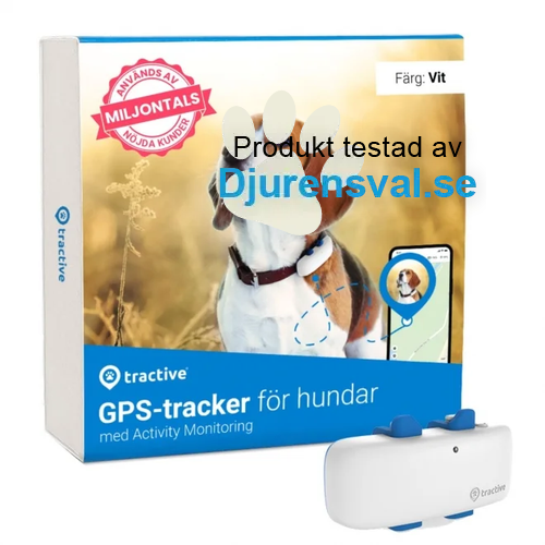 GPS för hund bäst i test